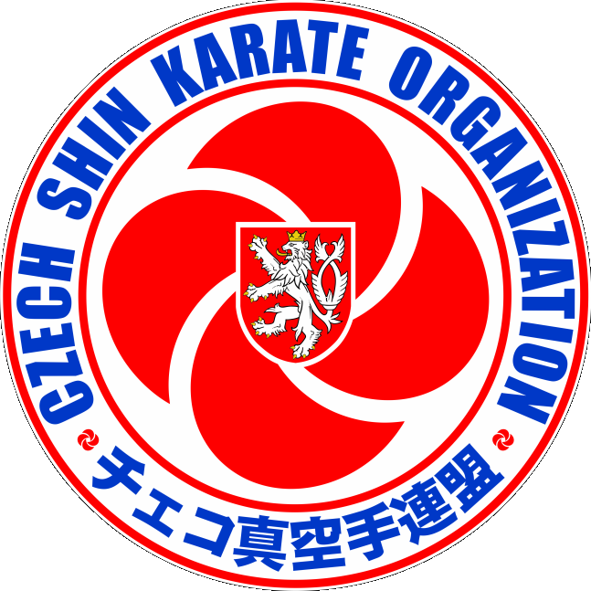 Shin Karate